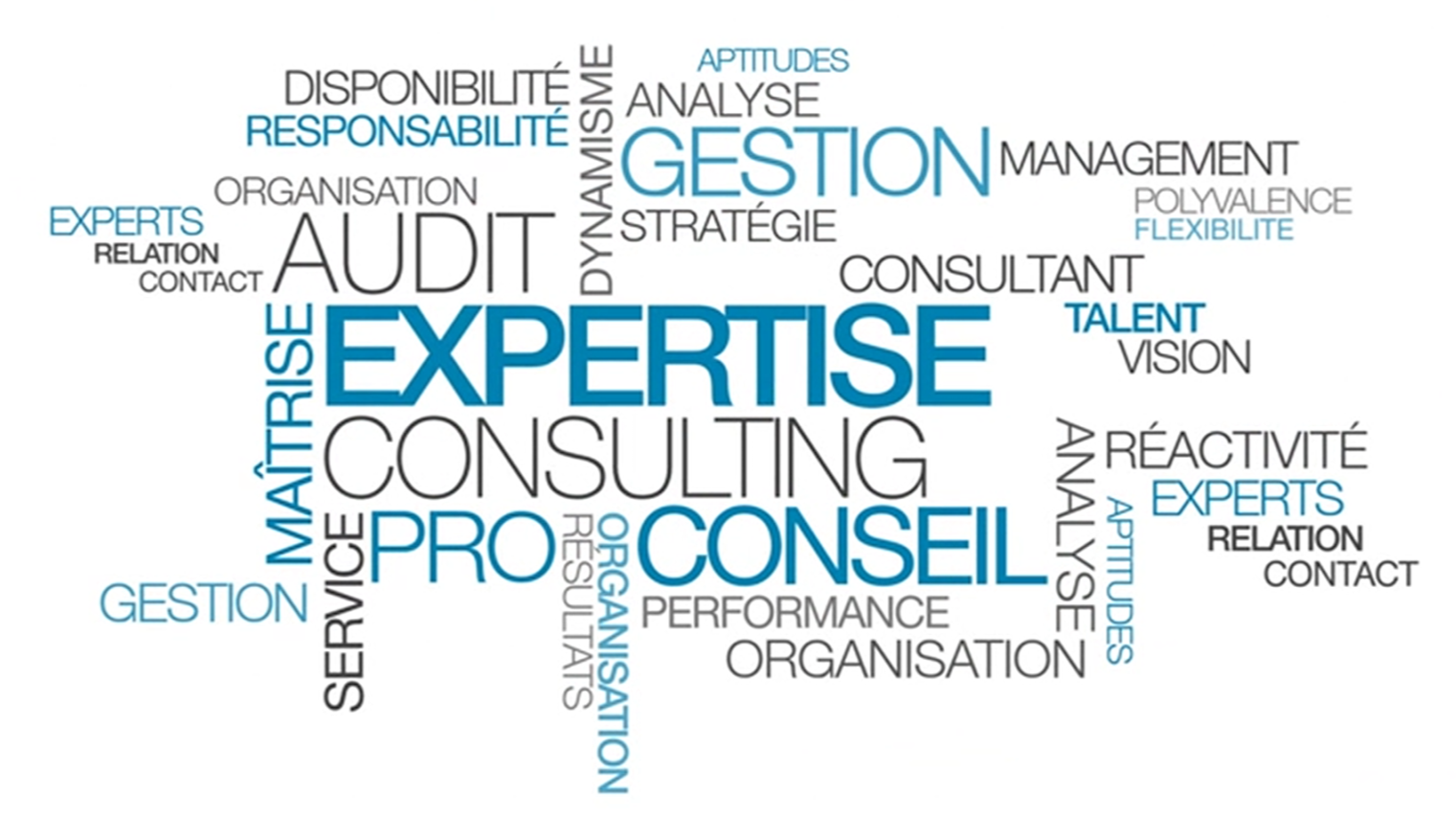 Société de conseil en ressources humaines